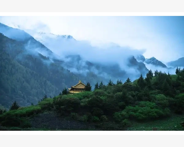 针灸疗程：一般扎几天才能见效？