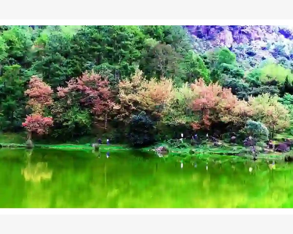 内热有湿气吃什么中药好用