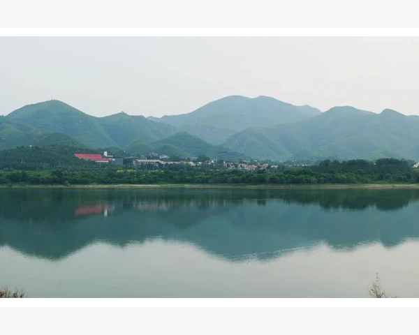 喝什么茶能清肺热排肺毒
